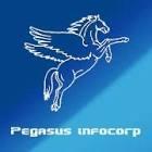 Pegasus Infocorp
