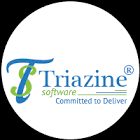 Triazine Software Private Limited