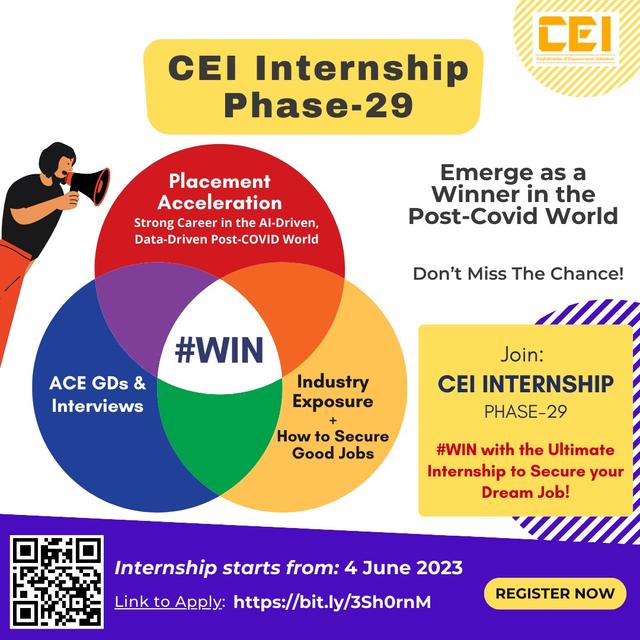 CEI Internship Programme